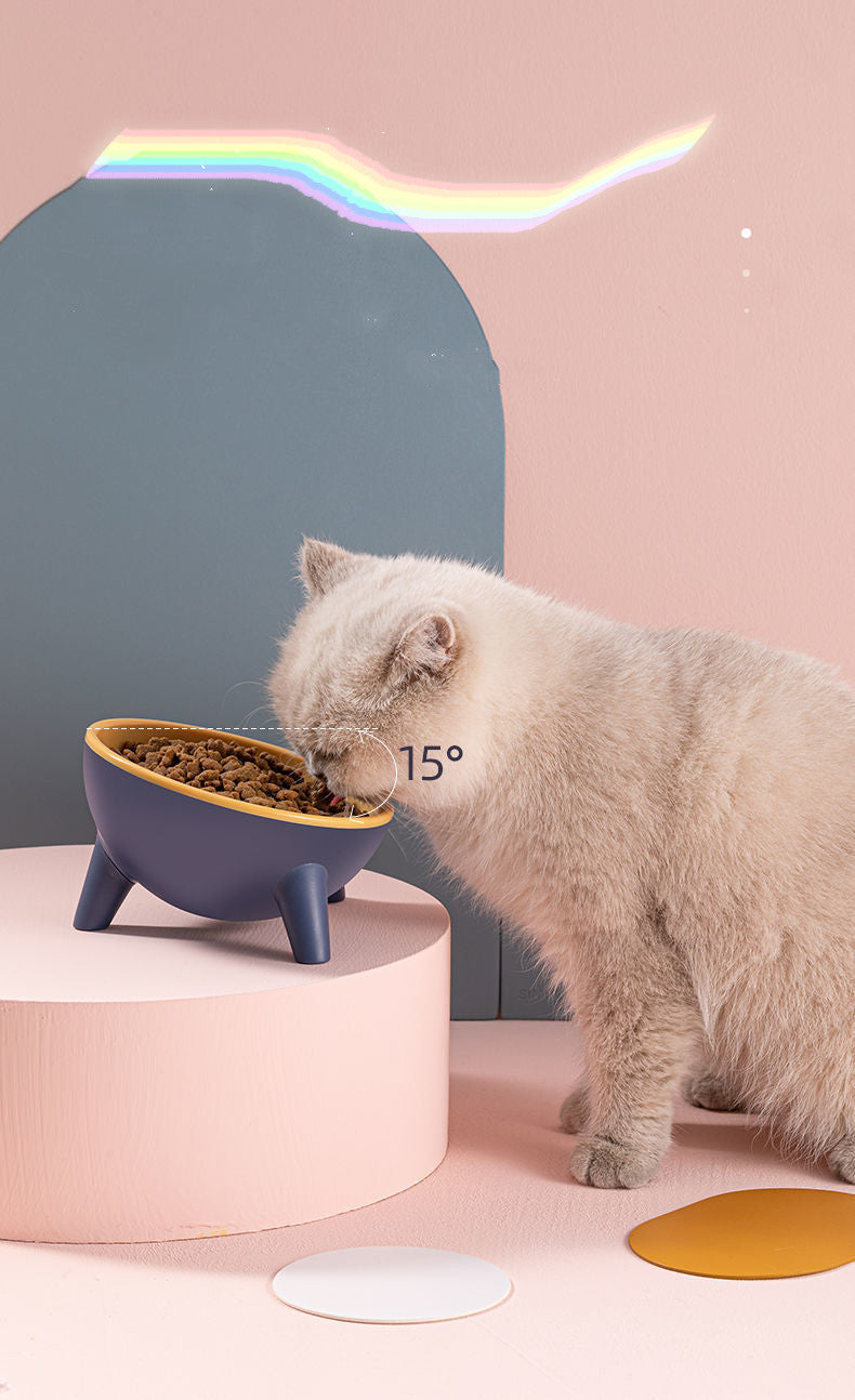 Elevate Your Pet's Dining Experience with the Raised Pet Feeding Bowl