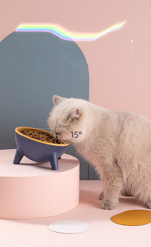 Elevate Your Pet's Dining Experience with the Raised Pet Feeding Bowl