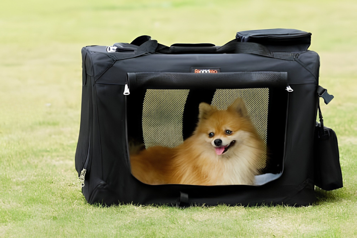 Stress Free Travel For Furry Friends
