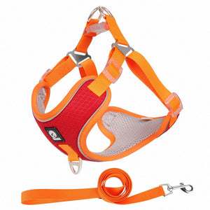 Enhance Your Pet's Adventures with Our Breathable Pet Harness